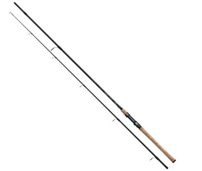 Fishing rods Balzer MAGNA MAGIC SILVER LEGEND 10 - 40gr